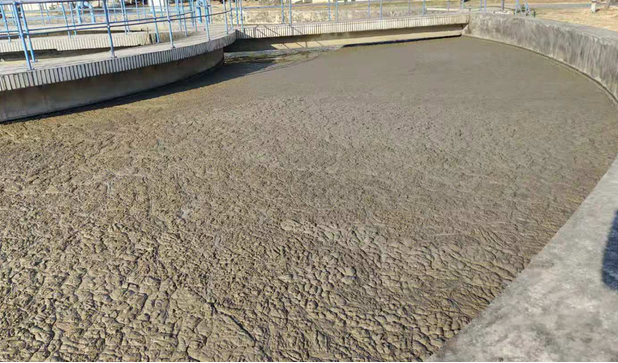 低温硝化菌2-冬季污泥膨胀.png